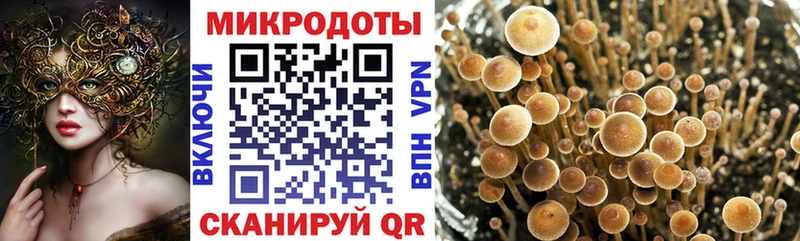 где купить наркоту  Абдулино  Псилоцибиновые грибы мицелий 